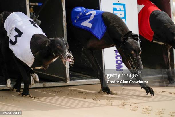 General view as the greyhounds exit the traps at Nottingham Greyhound Stadium on June 02, 2020 in Nottingham, England. Greyhound racing across...