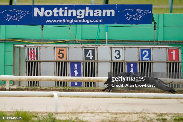 General view as Glenmore Phantom leads the way down the back straight at Nottingham Greyhound Stadium on June 02, 2020 in Nottingham, England....