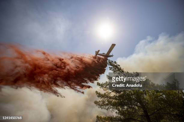 Plane intervenes to control a wildfire that broke out overnight in a forest in southern Turkiye, Marmaris district of Mugla province on June 22,...