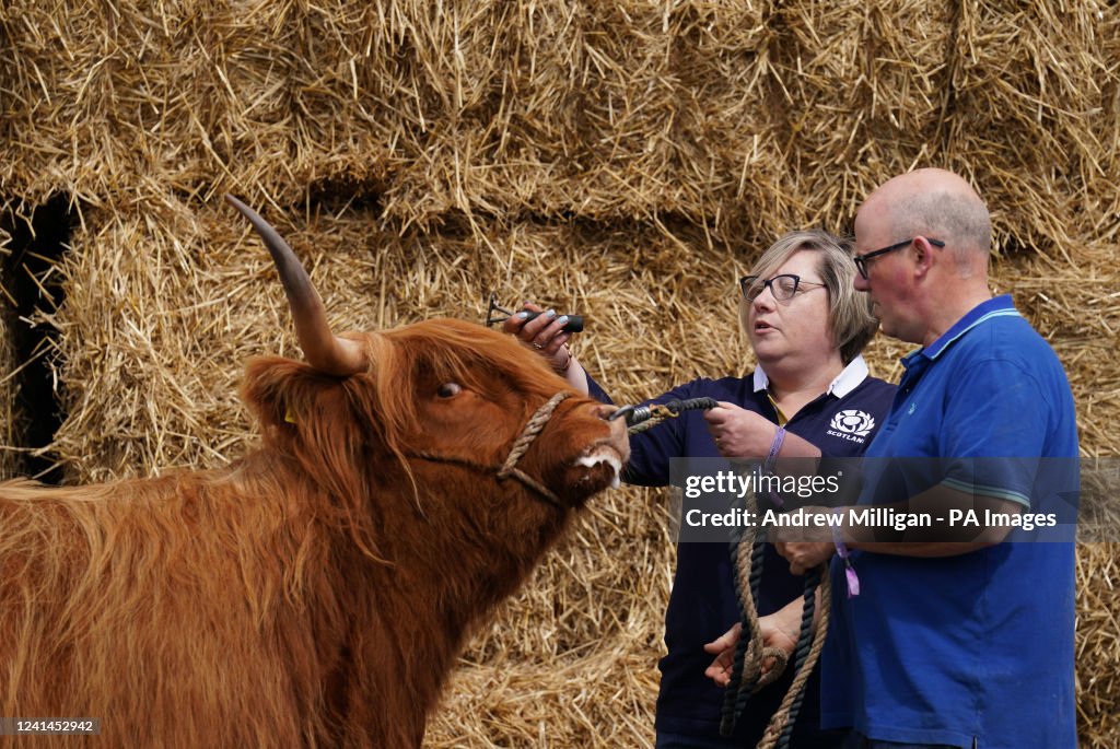 Royal Highland Show 2022