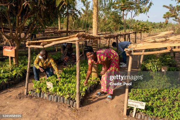 People tend to seedling nurseries during a visit by Britain's Prince Charles, Prince of Wales the ARCOS agroforestry site, as part of his visit to...