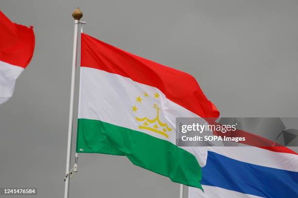 The flag of Tajikistan seen in the gallery of flags of the participating countries in the framework of St. Petersburg International Economic Forum...