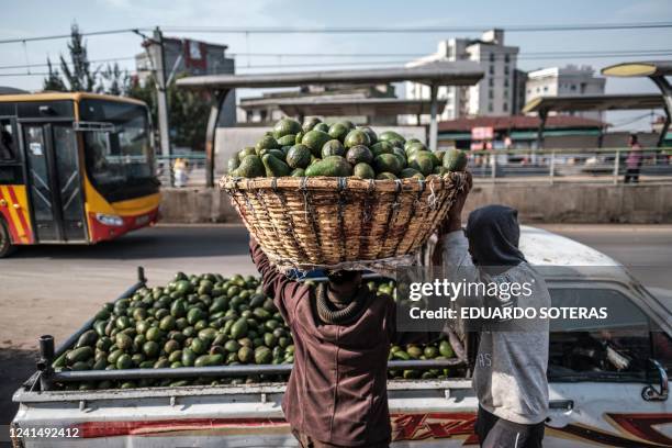 Man holds a basket of avocados on his head in a market in the city of Addis Ababa, Ethiopia, on June 23, 2022.In a context of an increasing...