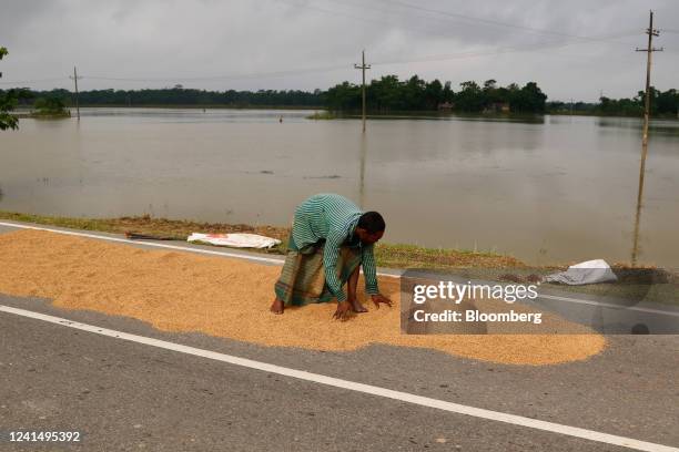 Man lays wet rice grains on a street to dry in Sylhet, Bangladesh, on Friday, June 24, 2022. Bangladesh floods have left about 5 million people...