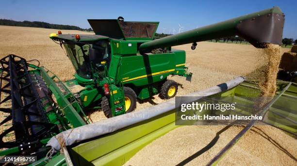 Combine harvests winter barley on the official opening day of the season's grain harvest following a press event at the Gut Kemlitz farm on June 24,...