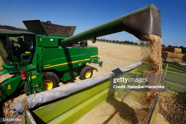 Combine harvests winter barley on the official opening day of the season's grain harvest following a press event at the Gut Kemlitz farm on June 24,...