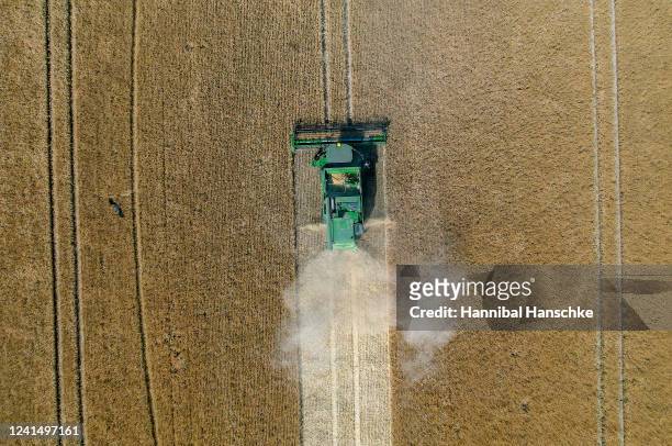 Combine harvests winter barley on the official opening day of the season's grain harvest following a press event at the Gut Kemlitz farm on June 24,...