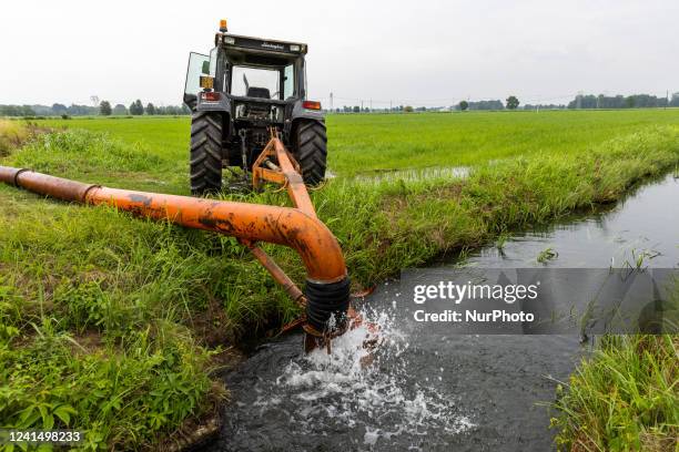 Container Pump Rice Rice Pump Photos and Premium High Res Pictures - Getty Images