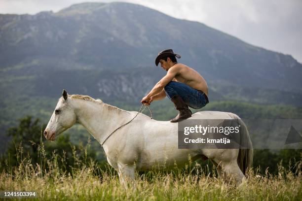 young adult cowboy crouching on horse in nature - taming horse stock pictures, royalty-free photos & images