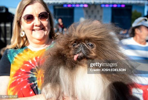 Ann Lewis shows off her dog Wild Thang during the World's Ugliest Dog Competition in Petaluma, California on June 24, 2022. - Mr. Happy Face, a...