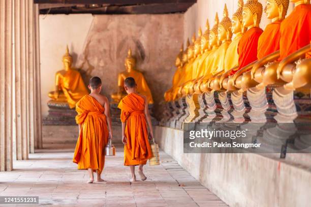 two novices walking return and talking in old temple - cambodian buddhist stock pictures, royalty-free photos & images