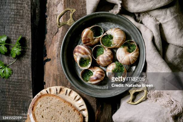 escargots de bourgogne - helix pomatia stock pictures, royalty-free photos & images