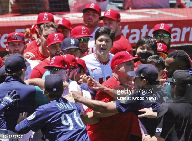 Members of the Los Angeles Angels and the Seattle Mariners scuffle after Jesse Winker of the Mariners was hit by a pitch from Angels starter Andrew...