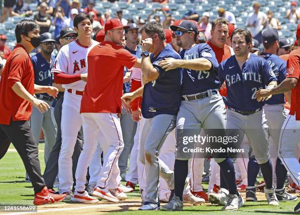 Members of the Los Angeles Angels and the Seattle Mariners scuffle after Jesse Winker of the Mariners was hit by a pitch from Angels starter Andrew...