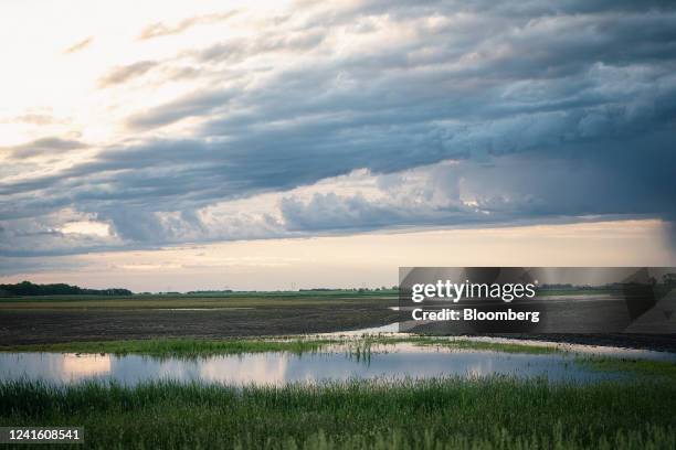 Rain clouds above flooded crop fields Wimbledon, North Dakota, US, on Wednesday, June 15, 2022. Late snowfall and high levels of Spring rainfall...