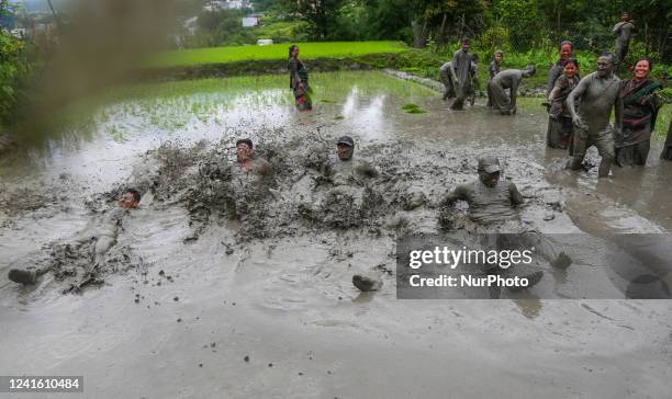 People play in the mud at the paddy field during the National Paddy Day which marks the start of rice planting season in Tokha village on the...