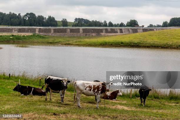 Caws rest at the Polish side of Suwalki Gap in rural agricultural lanscape with S67 road to Lithuania in the background on June 29, 2022 at...