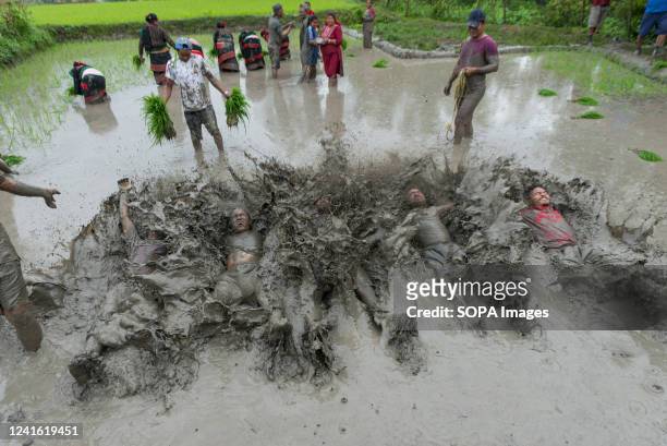 People play in mud water in a paddy field during the National paddy day celebration. Nepalese farmers celebrate National Paddy Day with various...