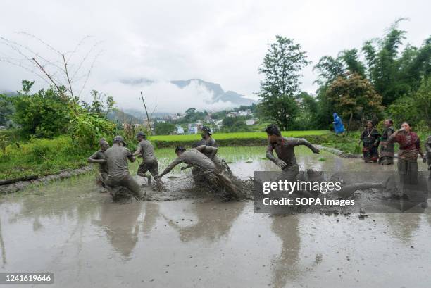 People play in mud water in a paddy field during the National paddy day celebration. Nepalese farmers celebrate National Paddy Day with various...