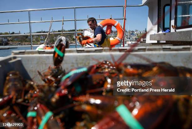 May 10: Sternman Ben Foster unloads lobsters from the boat Sleepless Nights at Greenhead Lobster in Stonington.