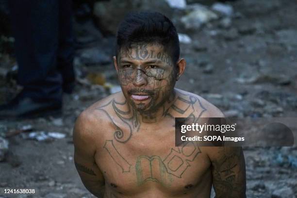 Member of the Barrio 18 gang is kneeling while presented by security authorities to the press in the "La Realidad" neighborhood. The Salvadoran...