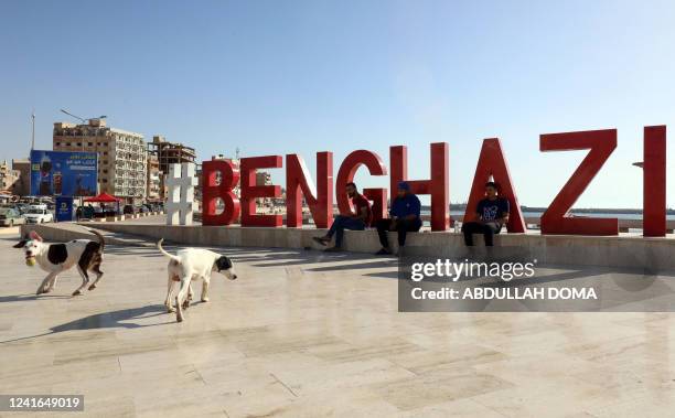 Dog owners watch their animals as they play with a ball along the shore in Libya's eastern city of Benghazi on July 1, 2022.