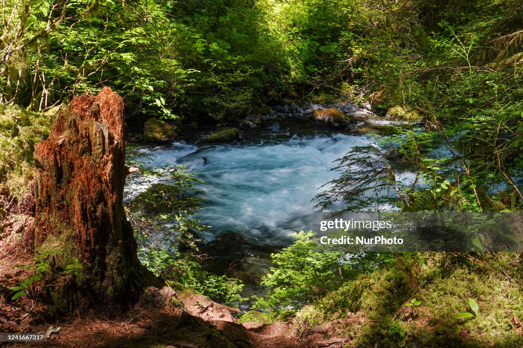 Olympic National Park