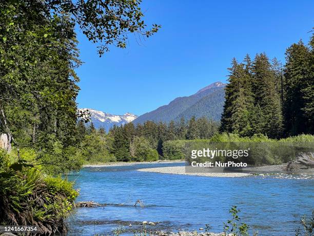 Hoh River along the Hoh River Trail in Olympic National Park in Washington State on Saturday, June 25, 2022.