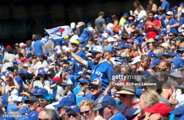 July 3 - A fan tries to keep the Jays spirit alive. The Toronto Blue Jays lost 7-3 to the Tampa Bay Rays in MLB baseball action in the fifth of five...