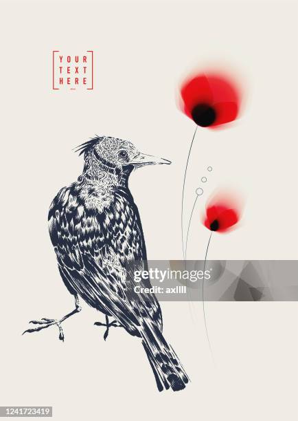 illustrations, cliparts, dessins animés et icônes de dessin d’encre d’oiseau avec des fleurs rouges - pavot sauvage