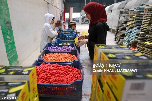 Workers package finished chalk into boxes at the Jordan Chalk company in Karak, around 120 kilometres south of the capital Amman on June 13, 2022....