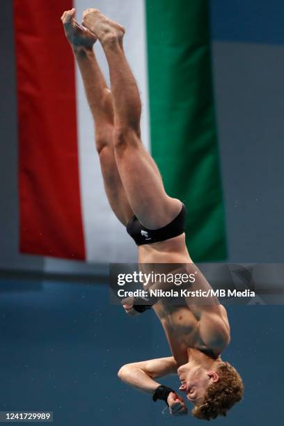 Rylan Wiens of Canada competes in the Men's 10m Platform Final on day eight of the Budapest 2022 FINA World Championships at Duna Arena on July 3,...
