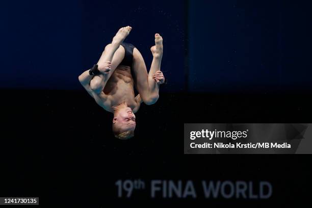 Josh Hedberg of USA competes in the Men's 10m Platform Final on day eight of the Budapest 2022 FINA World Championships at Duna Arena on July 3, 2022...