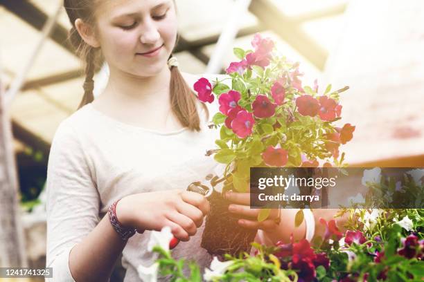het meisje dat van de tiener bloemen in de tuin plant - snoeischaar stockfoto's en -beelden
