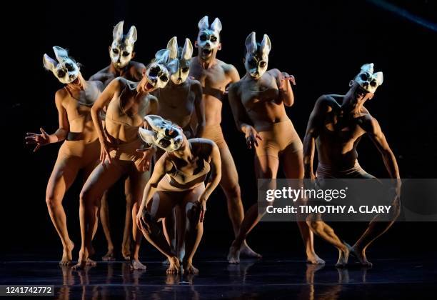 Dancers perform "A Trip of Rabbits" during dress rehearsal before opening night of MOMIX and artistic director Moses Pendelton's latest creation,...