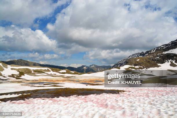 Colmars Path 26 Colmars Les Alpes Stock Photos, High-Res Pictures, and Images ...