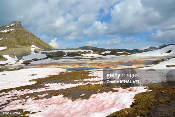 Colmars Path 26 Colmars Les Alpes Stock Photos, High-Res Pictures, and Images ...