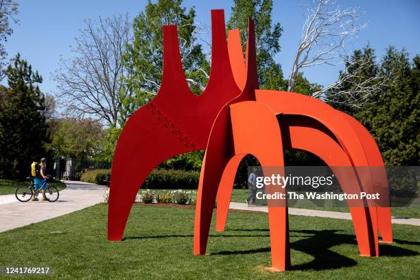 Cheval Rouge 51 Cheval Rouge Stock Photos, High-Res Pictures, and Images - Getty Images
