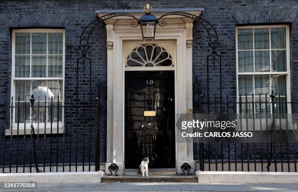 Larry the Downing Street cat sits on the step outside 10 Downing Street, the official residence of Britain's Prime Minister, in central London on...