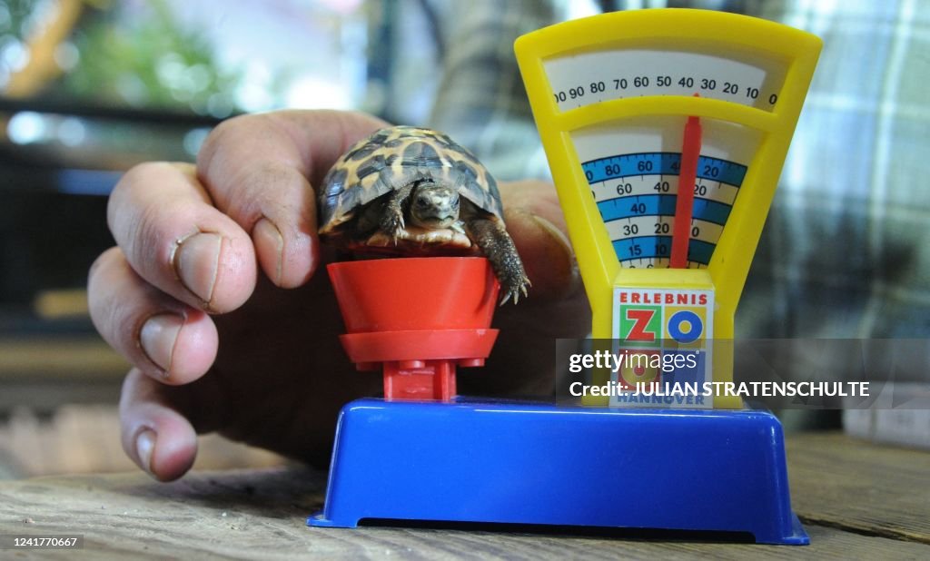 GERMANY-ANIMALS-ZOO-INVENTORY