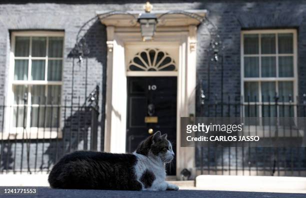 Larry the Downing Street cat lays in the road outside of 10 Downing Street, the official residence of Britain's Prime Minister, in central London on...
