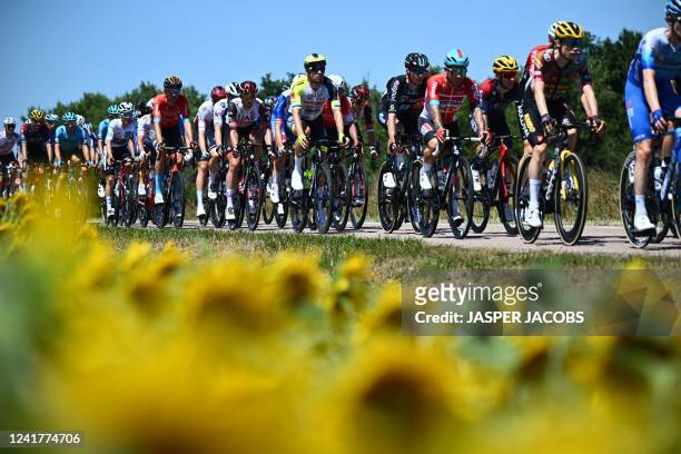 The pack of riders pictured in action during stage seven of the Tour de France cycling race, a 176 km race from Tomblaine to La Super Planche des...