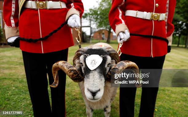 Mercian Regiment Photos And Premium High Res Pictures Getty Images mercian-regiment-photos-and-premium-high-res-pictures-getty-images