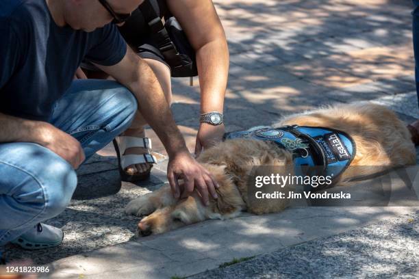 People come to mourn and interact with comfort dogs at memorial sites around the city center of Highland Park as Central street where the 4th of July...