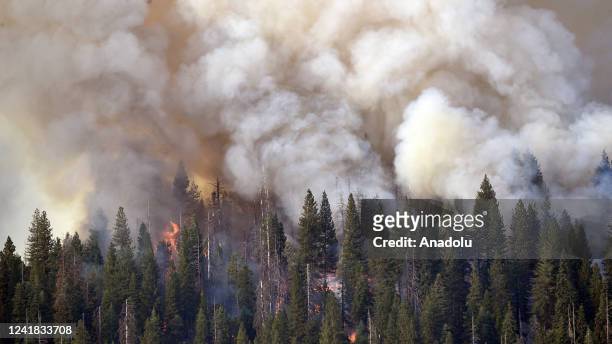 Smoke and flames rise as the forest burns at Yosemite National Park in California, United States on July 10, 2022. The fire is burning around the...