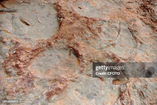 Fossil dinosaur footprints are seen in Lishi Village, Guocun Town, Xuanhua District, Zhangjiakou City, Hebei Province, July 11, 2022. Recently,...