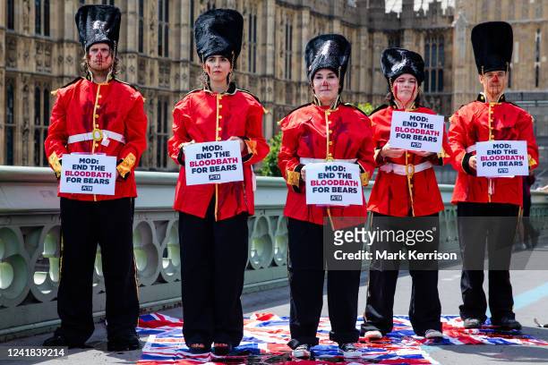 Supporters dressed as guards pose daubed with fake blood on Westminster Bridge ahead of a Parliamentary debate to discuss replacing bearskins used...