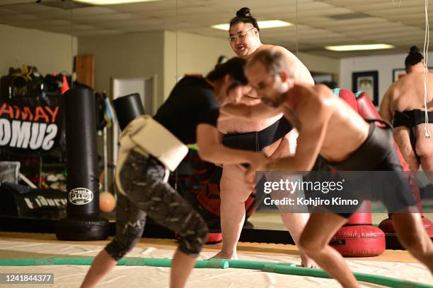 Yamamoto Ryuichi Sumo Dojo Fotografías e imágenes de stock - Getty Images