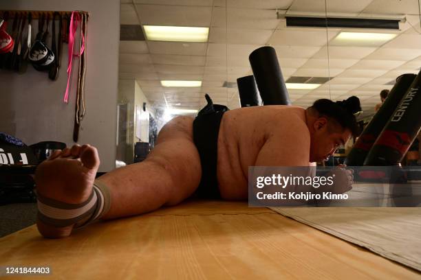 Yamamoto Ryuichi Sumo Dojo Photos and Premium High Res Pictures - Getty Images