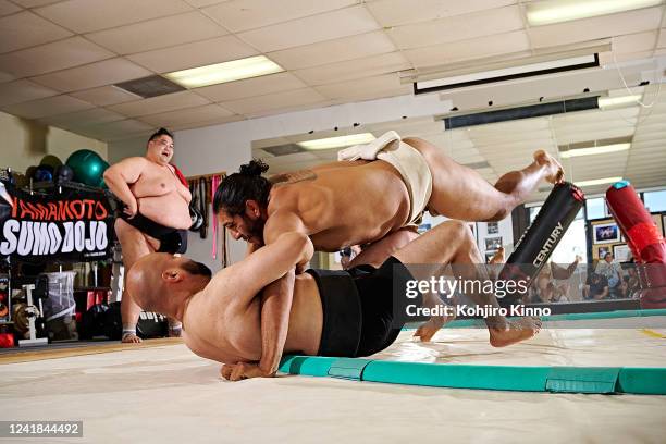 Yamamoto Ryuichi 129 Sumo Dojo Stock Photos, High-Res Pictures, and Images - Getty Images